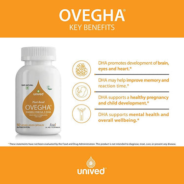 https://cdn.shopify.com/s/files/1/1857/6931/products/6GDlVdojqh.jpg?v=1648016350